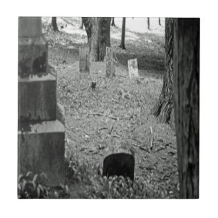 Vergessenes Grab Fliese