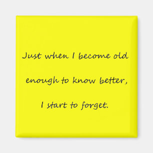 Vergesslicher Magnet