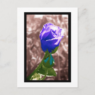 Vergesslichkeit Postkarte