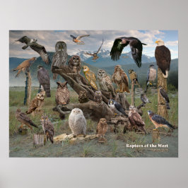 Vergewaltiger des Westens 2019 Poster