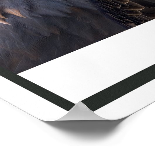 Vergewaltiger des Westens Poster (Ecke)