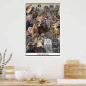 Vergewaltiger des Westens Poster (Küche)