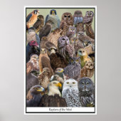 Vergewaltiger des Westens Poster (Vorne)