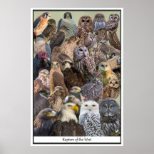 Vergewaltiger des Westens