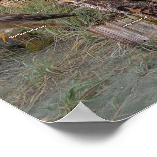 Vergewaltiger des Westens Poster (Ecke)