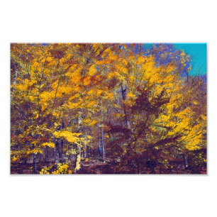 vergewaltigte Fallbaumen Fotodruck