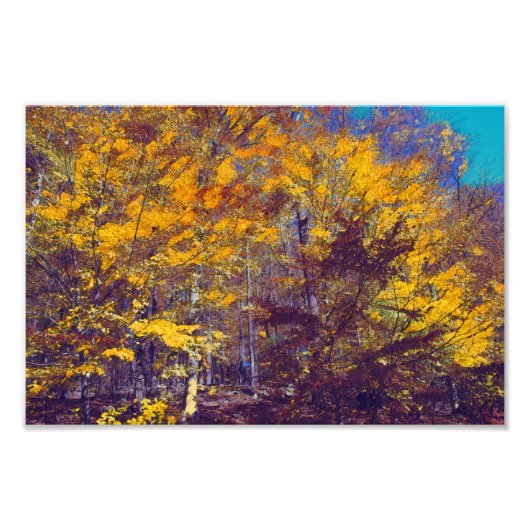 vergewaltigte Fallbaumen Fotodruck (Vorne)