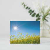Vergewaltigungsfeld Postkarte (Stehend Vorderseite)