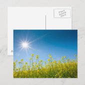 Vergewaltigungsfeld Postkarte (Vorne/Hinten)