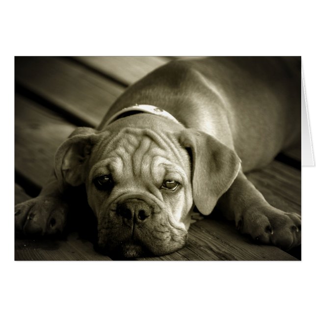 Vergib mir (Vorderseite (Horizontal))