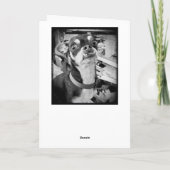 Vergib mir | Es tut mir leid | Funny Chihuahua Karte (Rückseite)