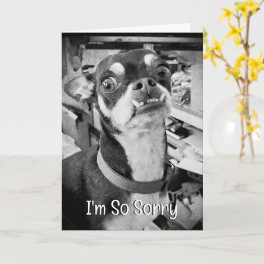 Vergib mir | Es tut mir leid | Funny Chihuahua Karte (Gelbe Blume)