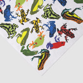 Vergiften Sie Pfeil-Frösche, Kindamphibisch Seidenpapier (Ausschnitt)