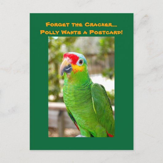 Vergiss den Cracker, Polly Will eine Postkarte, Pa Postkarte (Vorderseite)
