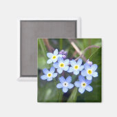 Vergiss Me Nots 2 Magnet (Vorderseite/Rückseite)