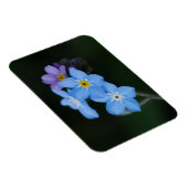 Vergiss-me-Nots Magnet (Rechte Seite)