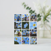 Vergiss-Me-Nots-Montage 1 Postkarte (Stehend Vorderseite)