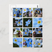 Vergiss-Me-Nots-Montage 1 Postkarte (Vorne/Hinten)