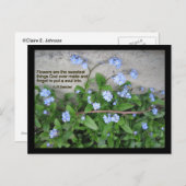 Vergiss-Me-Nots Postkarte (Vorne/Hinten)
