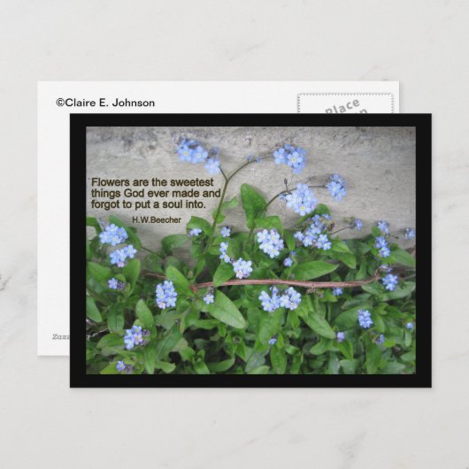 Vergiss-Me-Nots Postkarte (Vorne/Hinten)