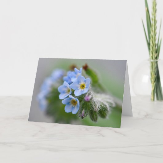 Vergiss mich nicht Blume Karte (Vorderseite)