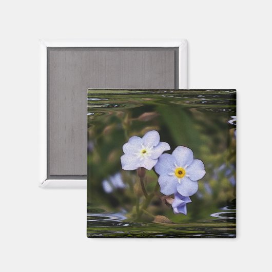 Vergiss mich nicht Blume Magnet (Vorderseite/Rückseite)