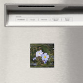 Vergiss mich nicht Blume Magnet (In Situ (Geschirrspüler))
