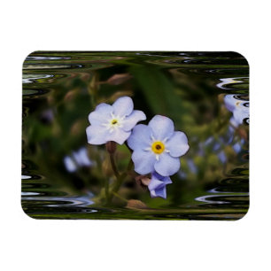 Vergiss mich nicht Blume Magnet