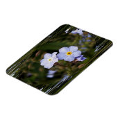 Vergiss mich nicht Blume Magnet (Linke Seite)