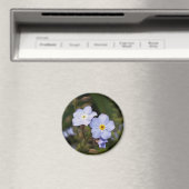 Vergiss mich nicht Blume Magnet (In Situ (Geschirrspüler))