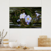 Vergiss mich nicht Blume Poster (Küche)