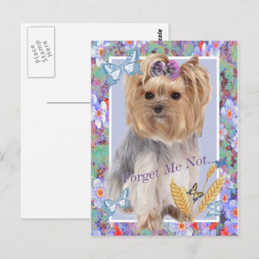 Vergiss mich nicht, deine Karten (Vorne/Hinten)