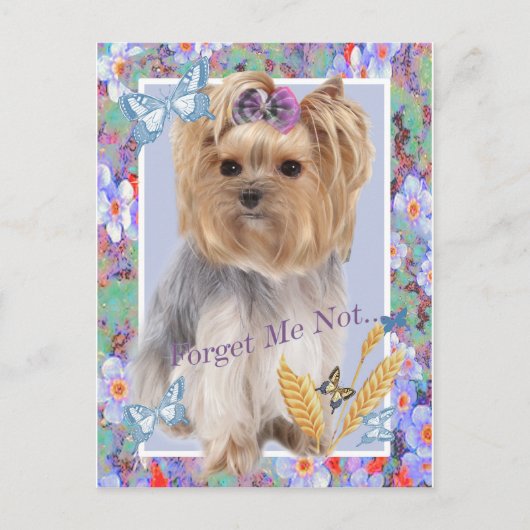 Vergiss mich nicht, deine Karten (Vorderseite)