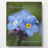 Vergiss mich nicht für immer und immer! fotoplatte (Vorderseite)