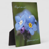 Vergiss mich nicht für immer und immer! fotoplatte (Seite)