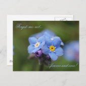 Vergiss mich nicht für immer und immer! postkarte (Vorne/Hinten)