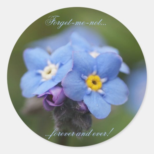 Vergiss mich nicht für immer und immer! runder aufkleber (Vorderseite)