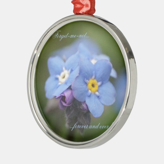 Vergiss mich nicht für immer und immer! silbernes ornament (Links)