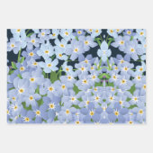 Vergiss mich nicht geschenkpapier set (Vorderseite 3)