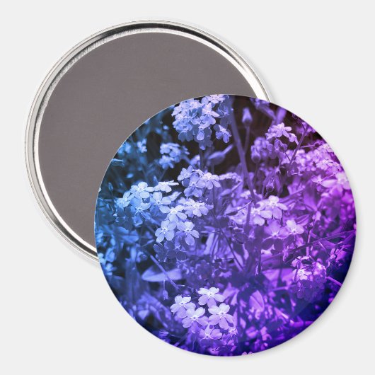 Vergiss mich nicht magnet (Vorderseite/Rückseite)