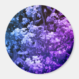 Vergiss mich nicht magnet