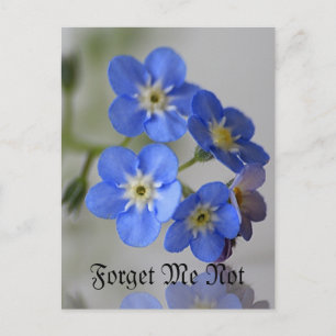 Vergiss mich nicht postkarte