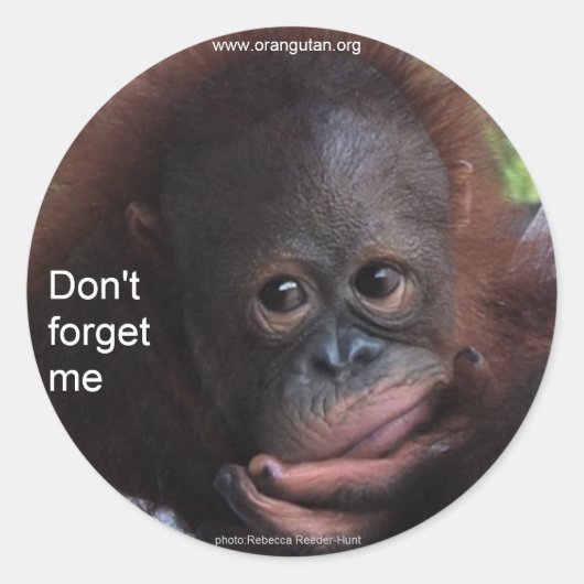 Vergiss mich nicht (Primat Baby) Runder Aufkleber (Vorderseite)