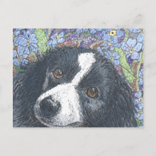 "Vergiss mich nicht", sagte die Border Collie. Postkarte