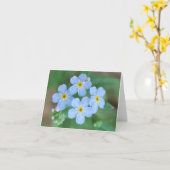 Vergiss mich Nots Karte (Gelbe Blume)