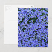 Vergiss mich Nots Postkarte (Vorne/Hinten)