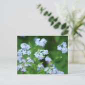 Vergiss mich Nots Postkarte (Stehend Vorderseite)