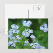 Vergiss mich Nots Postkarte (Vorne/Hinten)