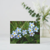 Vergiss mich Nots Postkarte (Stehend Vorderseite)