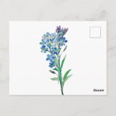 Vergiss nicht, dass ich keine Postkarte habe (Rückseite)